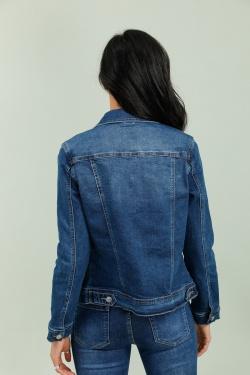 DM1042-BLEU