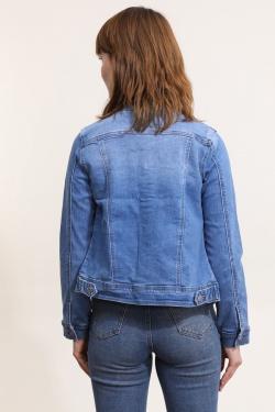 DM2233-1-BLEU