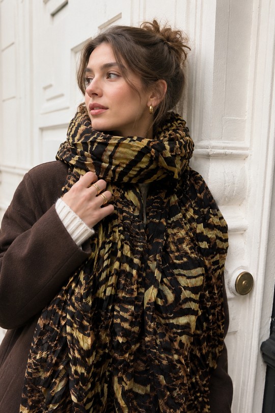 PD2681-CAMEL