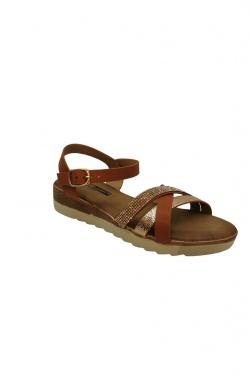 V984-CAMEL