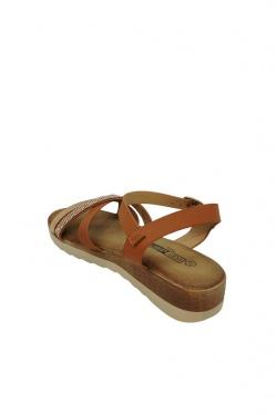 V984-CAMEL