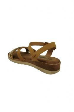 V984-CAMEL