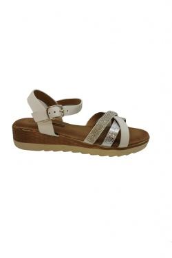 V984-CAMEL