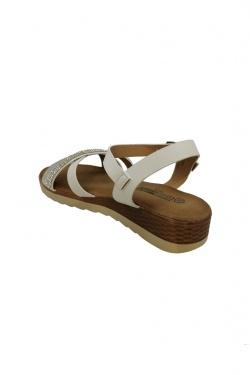 V984-CAMEL