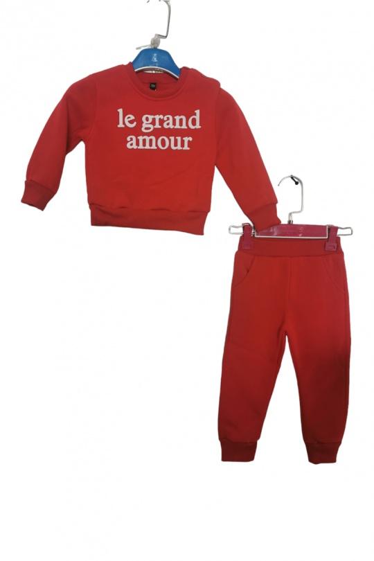 FY-1113-ROUGE