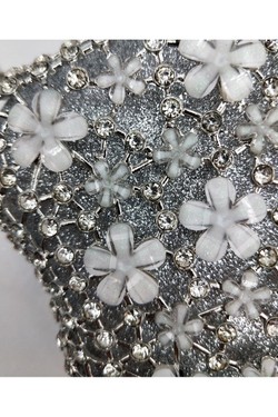 BMN-1244-ARGENT
