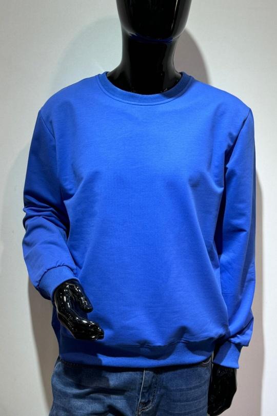 P2566-BLEU ROI