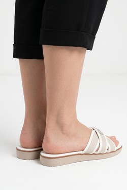 LD266-ROSE