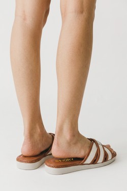 LD266-ROSE