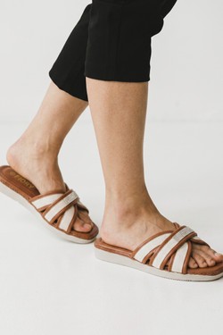 LD266-ROSE