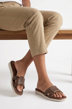 LD271-MARRON