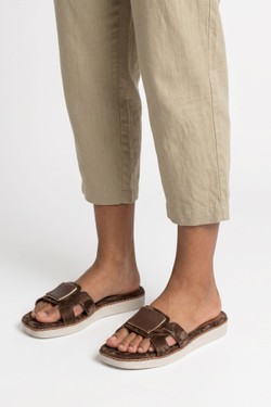 LD271-MARRON