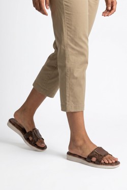 LD271-MARRON