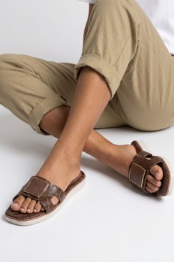 LD271-MARRON