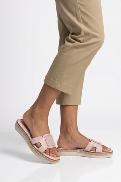 LD271-MARRON