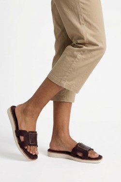 LD271-MARRON