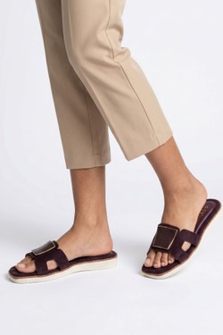 LD271-MARRON