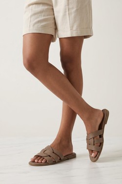 LD273-CAMEL
