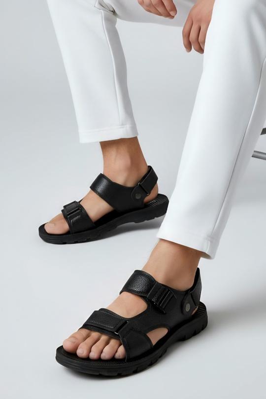 HM2639-NOIR
