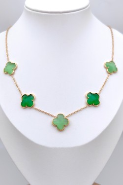 WF301-54-BICOLORE