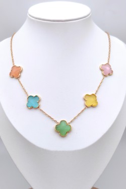 WF301-54-BICOLORE