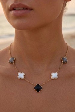 WF301-54-BICOLORE