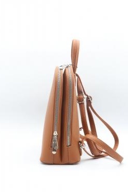2547-CAMEL
