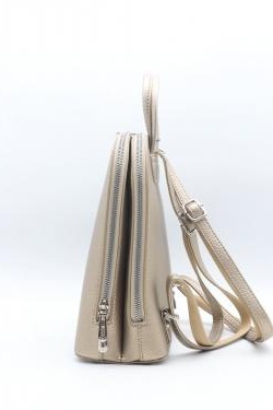 2547-CAMEL