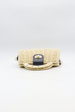 1085-CAMEL