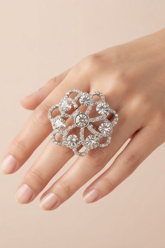 AN-FAN-25-ARGENT