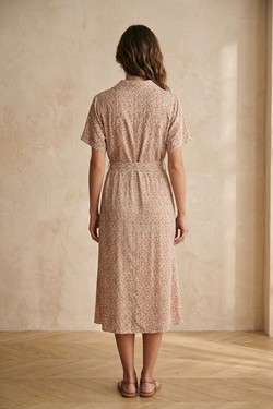 PR2623-CORAIL