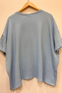 PP2619-BLEU