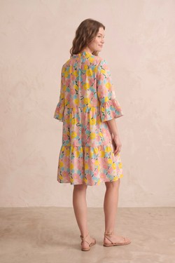 PR2636-ROSE