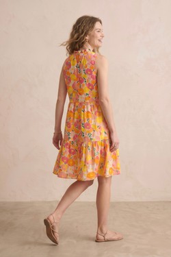 PR2641-CORAIL