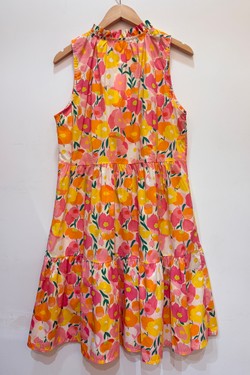 PR2641-CORAIL