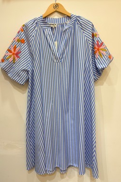 PR2644-BLEU