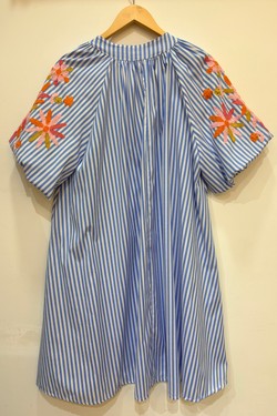 PR2644-BLEU