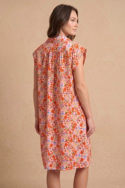 PR2648-CORAIL
