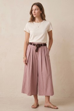 PPN2669-ROSE