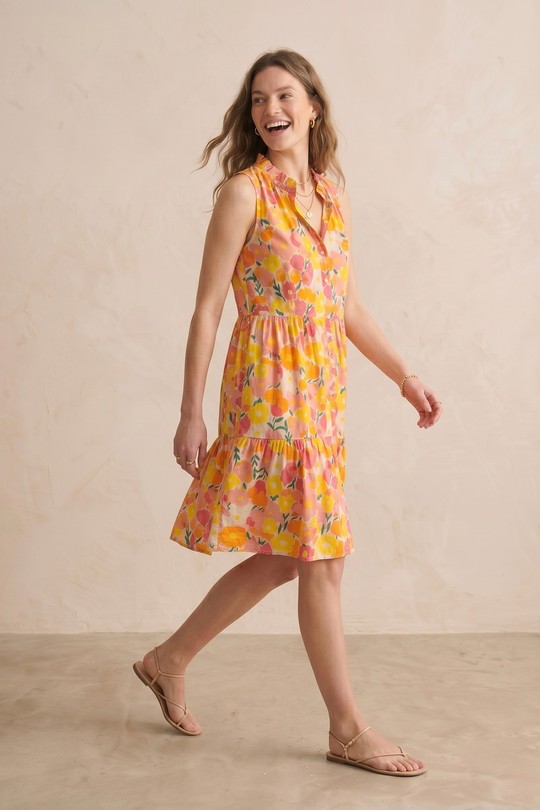 PR2641-CORAIL