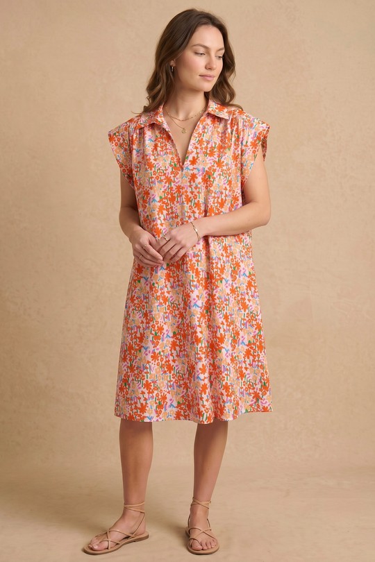PR2648-CORAIL