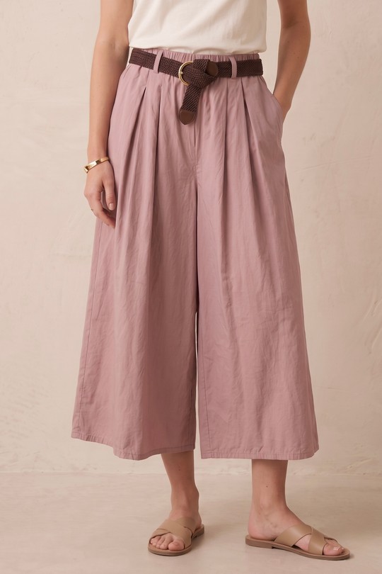 PPN2669-ROSE