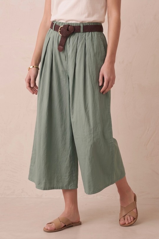 PPN2669-KAKI