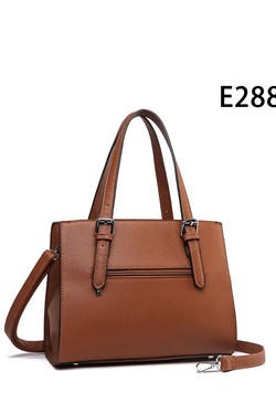 E2887-CAMEL