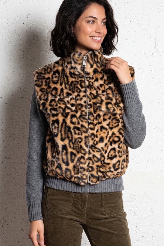 41095001-LEOPARD