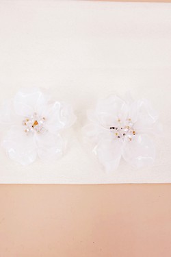 BO2069-ROSE