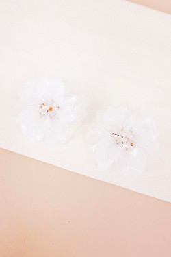 BO2069-ROSE
