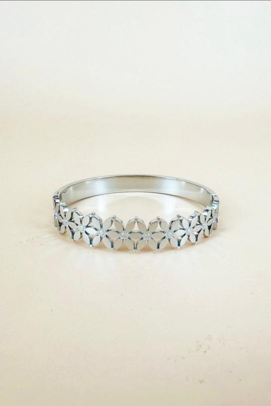 BR0290-ARGENT