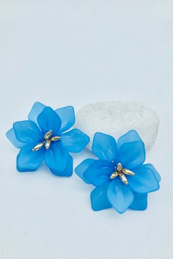 ZA-BO-002210-BLEU