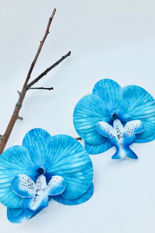 ZA-BO-002211-BLEU